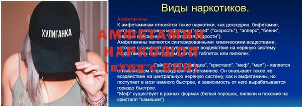 молекула духа Богородск
